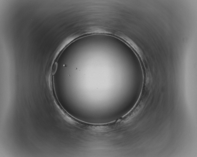 X0000110671293200906121302