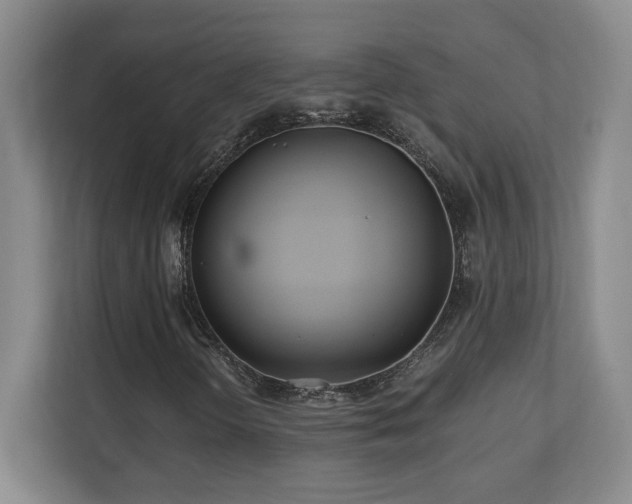 X0000110671298200906121301