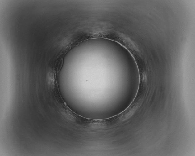 X0000110671300200906121301