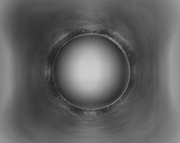X0000110671302200906121301
