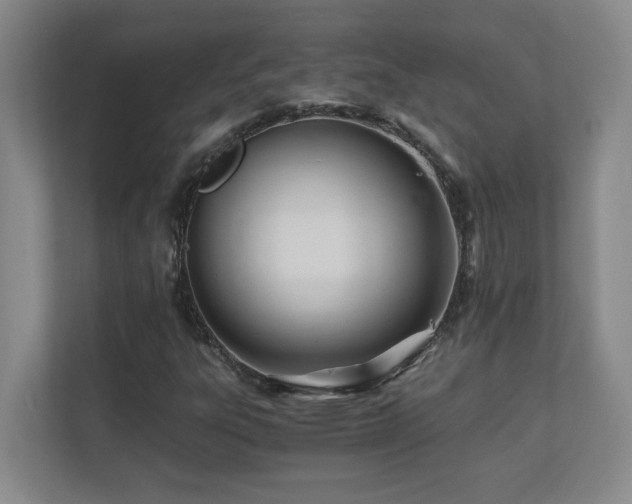 X0000110671303200906121301