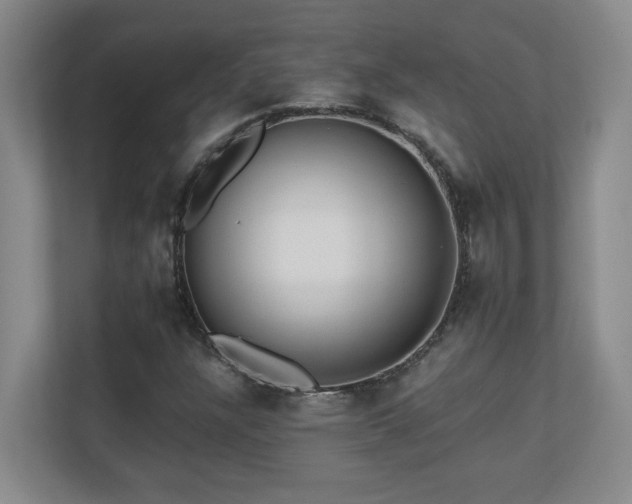 X0000110671304200906121301