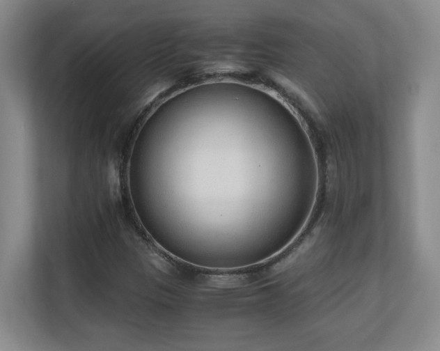 X0000110671305200906121301
