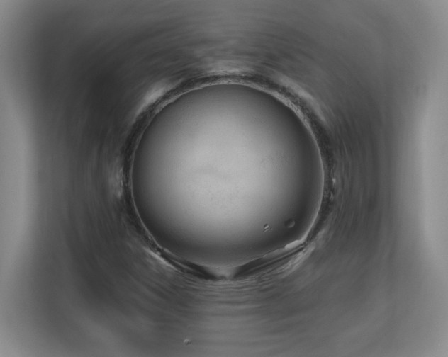 X0000110671306200906121301