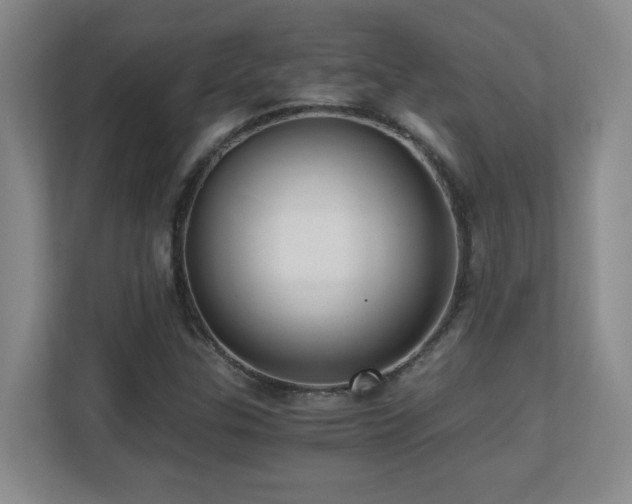 X0000110671307200906121301