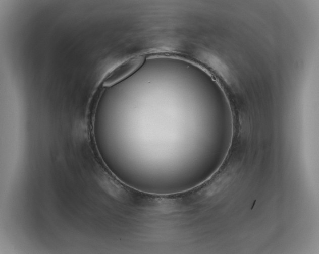 X0000110671308200906121301