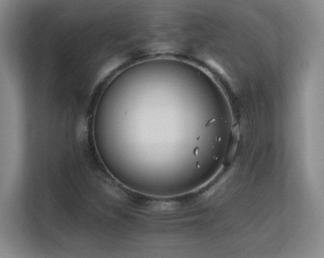 X0000110671309200906121301