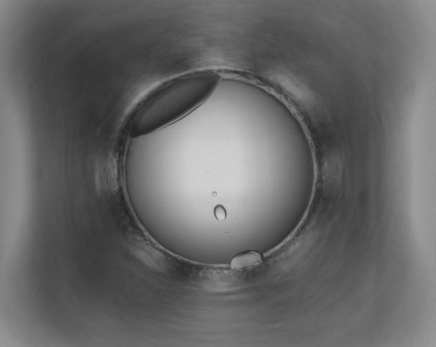 X0000110671310200906121301