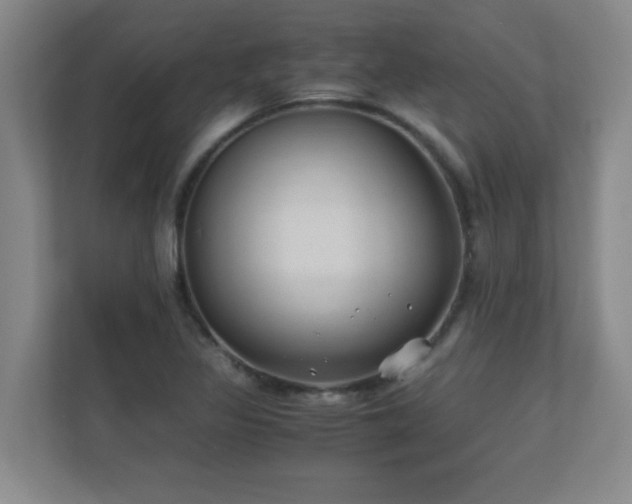 X0000110671317200906121302