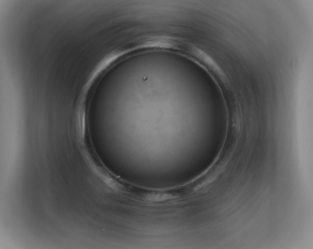X0000110671323200906121302
