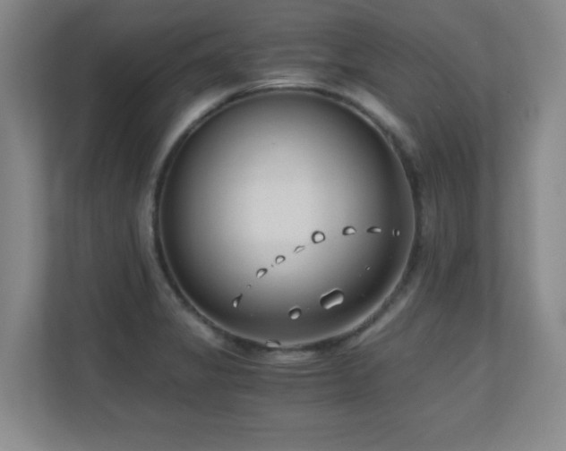 X0000110671325200906121302