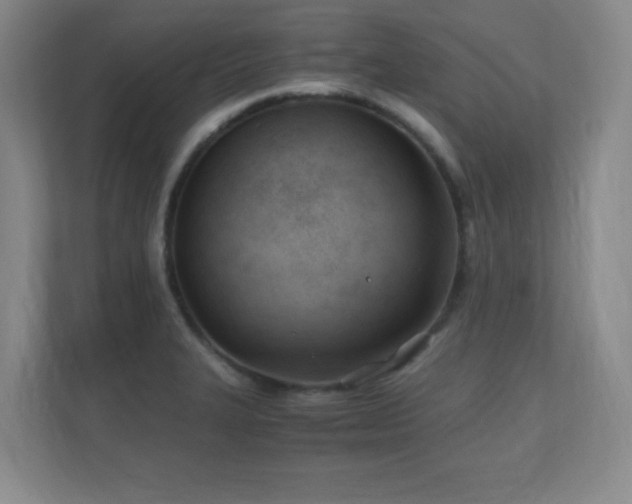 X0000110671327200906121302