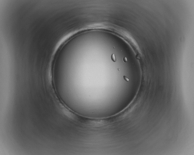 X0000110671328200906121302