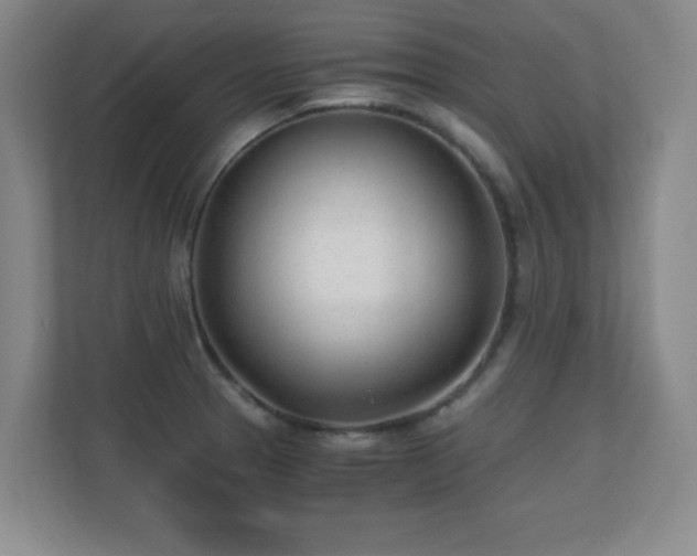 X0000110671329200906121302