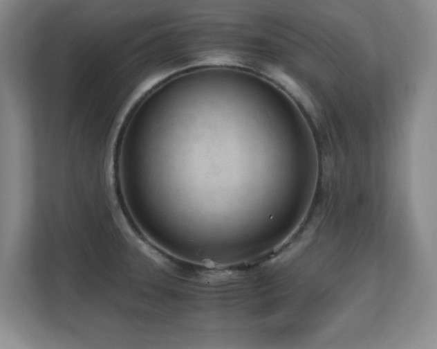 X0000110671331200906121302