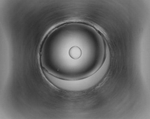 X0000110671334200906121302
