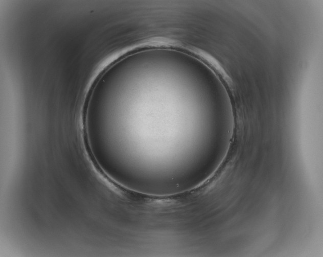 X0000110671335200906121302