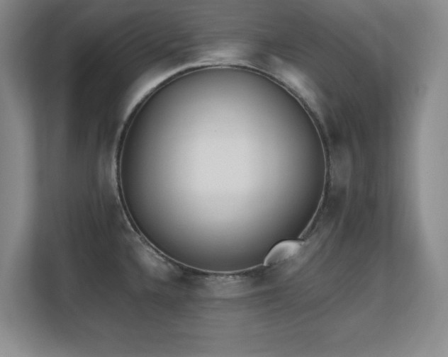 X0000110671336200906121302