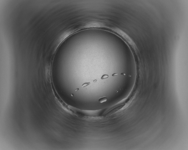 X0000110671337200906121302