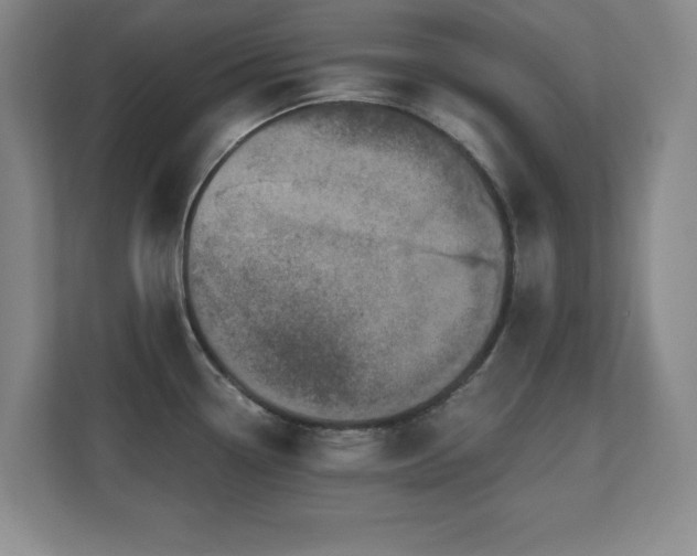 X0000110671338200906121302