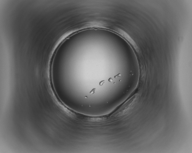 X0000110671339200906121302