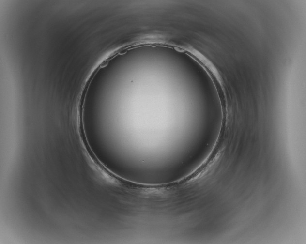 X0000110671341200906121302