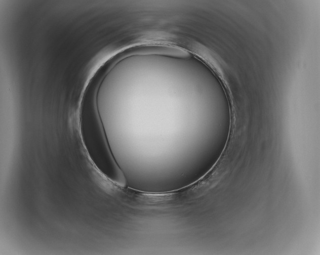 X0000110671344200906121302
