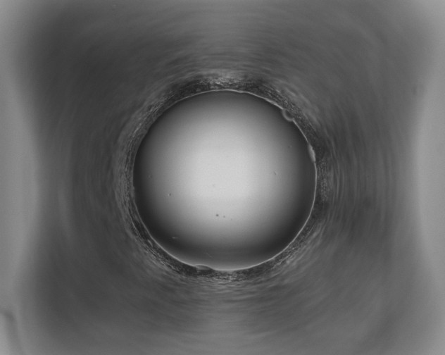 X0000110671345200906121301