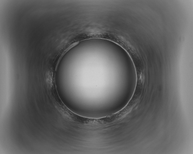X0000110671348200906121301