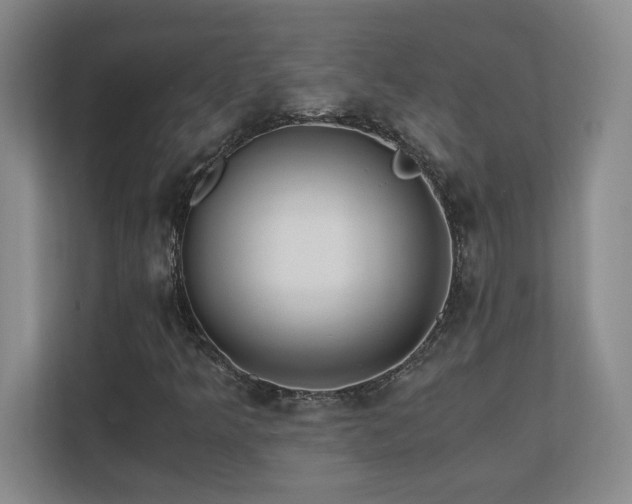 X0000110671349200906121301