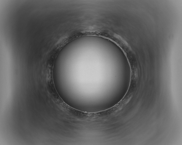 X0000110671350200906121301