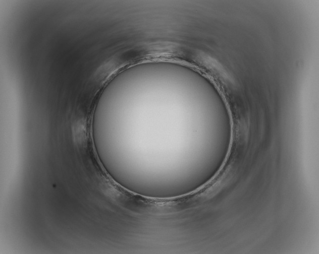 X0000110671353200906121301