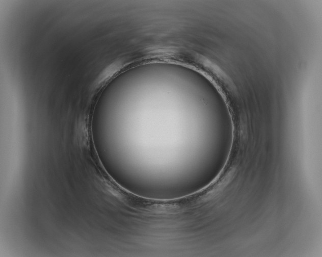 X0000110671354200906121301