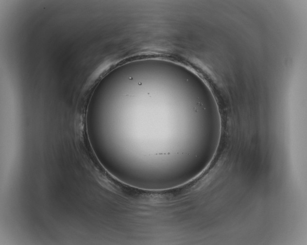 X0000110671355200906121301