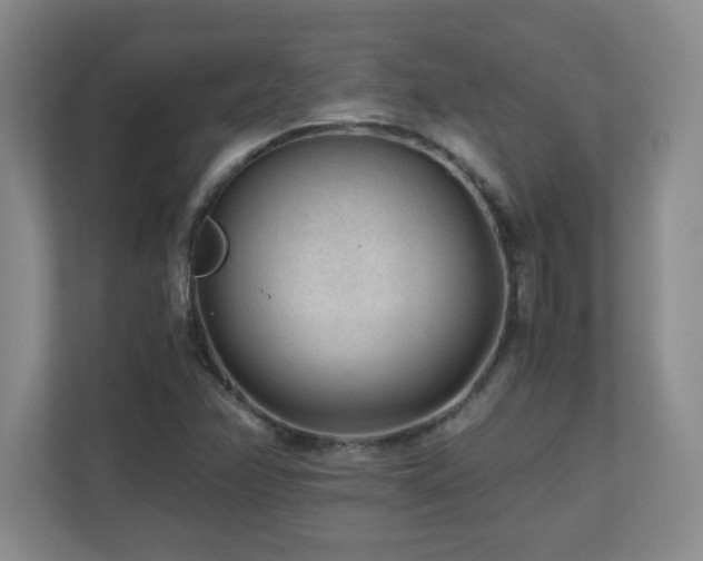 X0000110671358200906121301