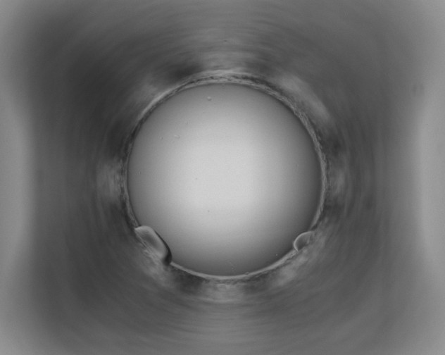X0000110671361200906121301