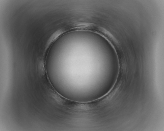 X0000110671362200906121301