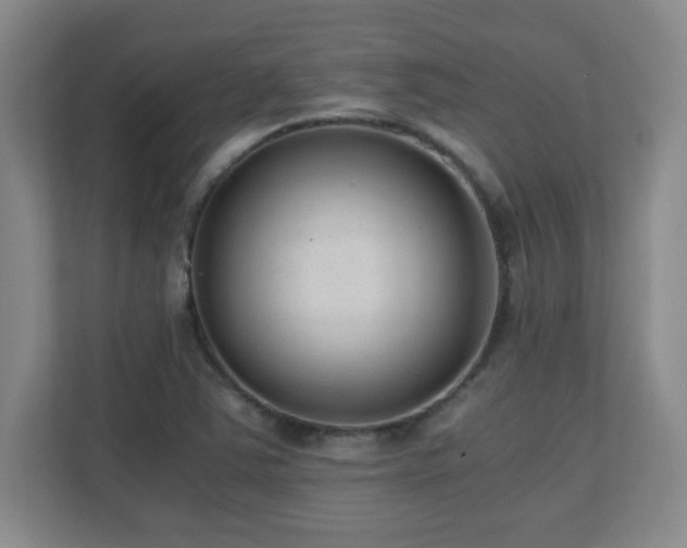 X0000110671363200906121301