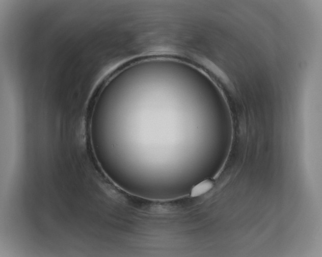 X0000110671364200906121301