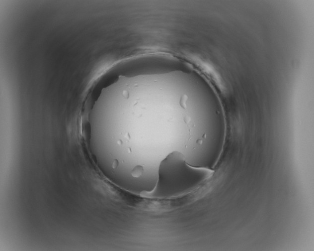 X0000110671365200906121301