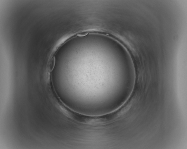 X0000110671367200906121301