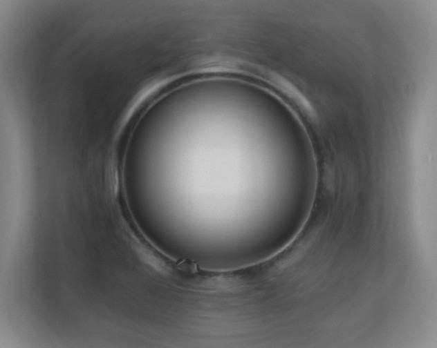 X0000110671368200906121301