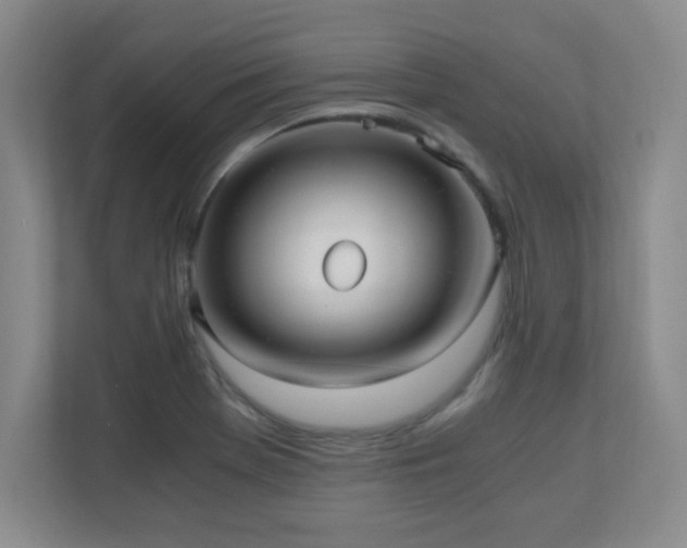 X0000110671369200906121301