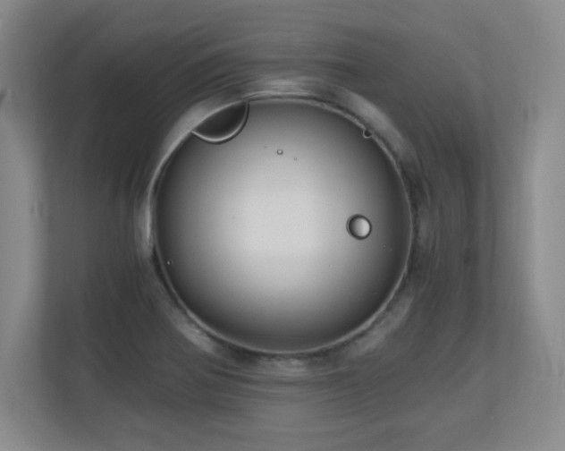 X0000110671370200906121301