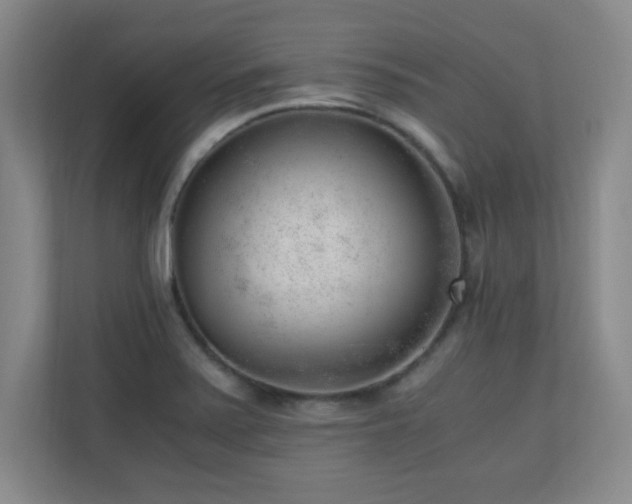 X0000110671371200906121301