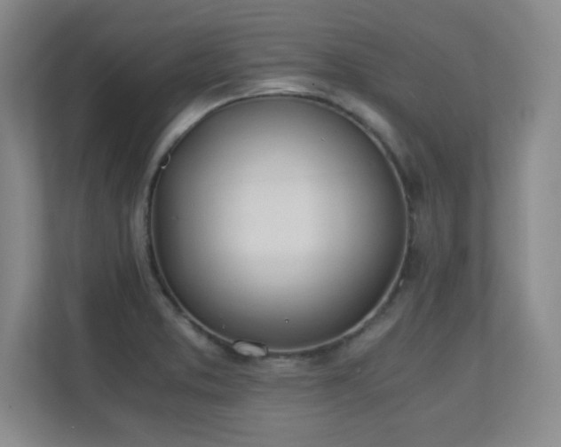 X0000110671373200906121301