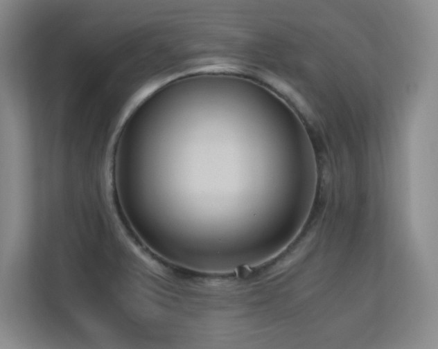 X0000110671375200906121301