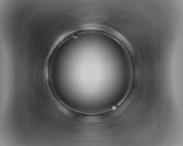 X0000110671376200906121301