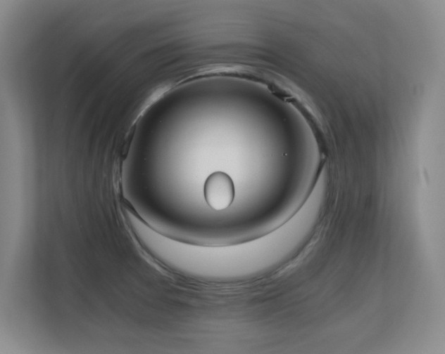 X0000110671377200906121301