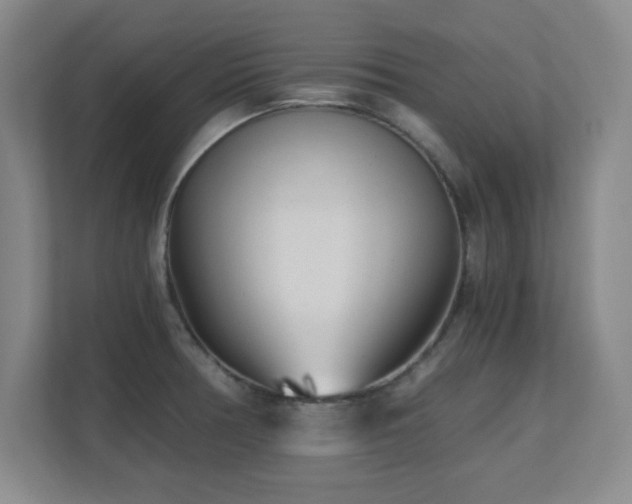 X0000110671378200906121301